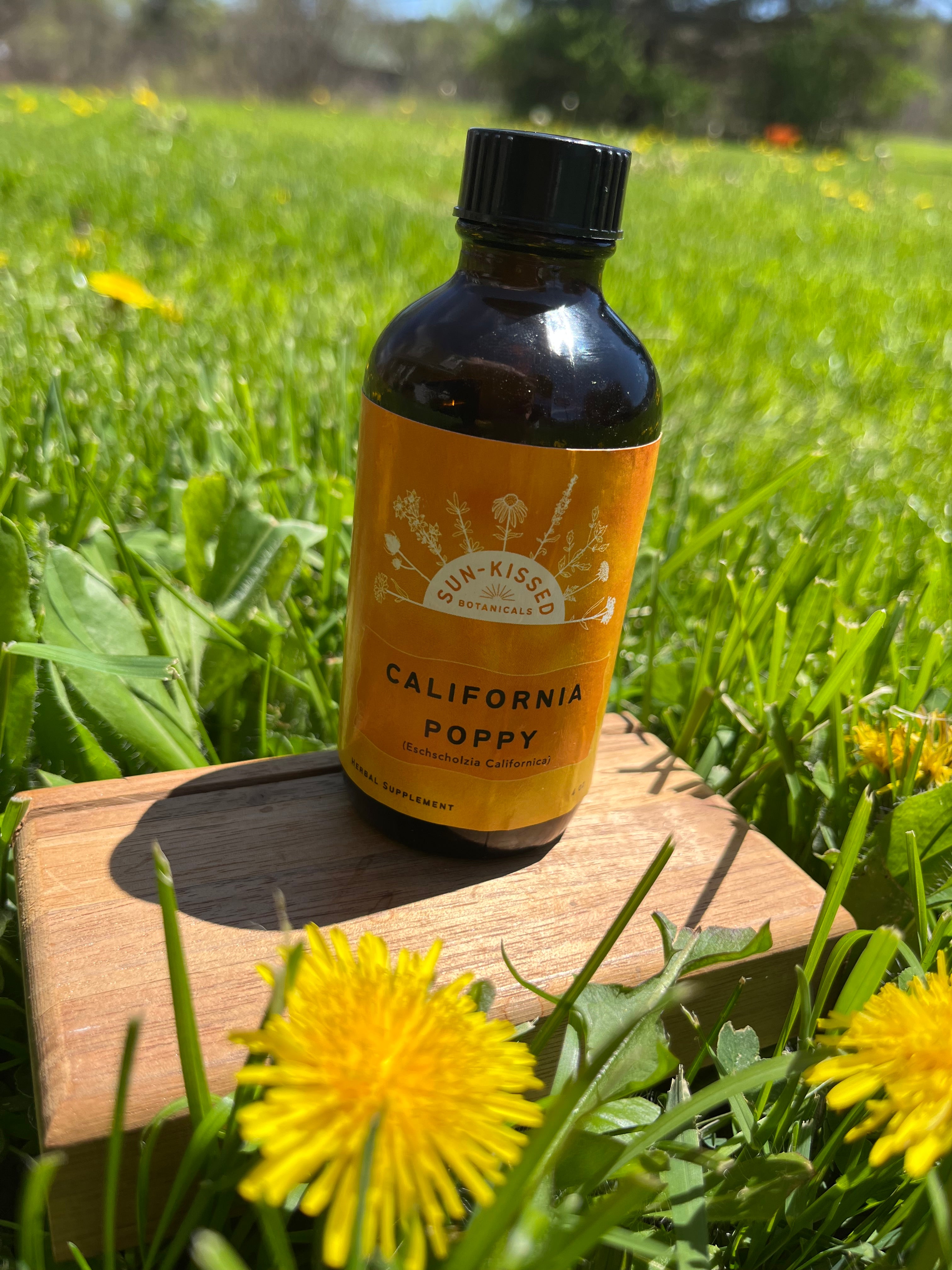 California Poppy